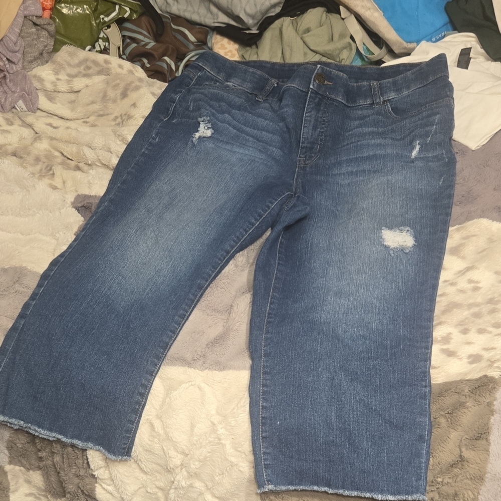 Terra & Sky Women's Cropped Blue Jeans